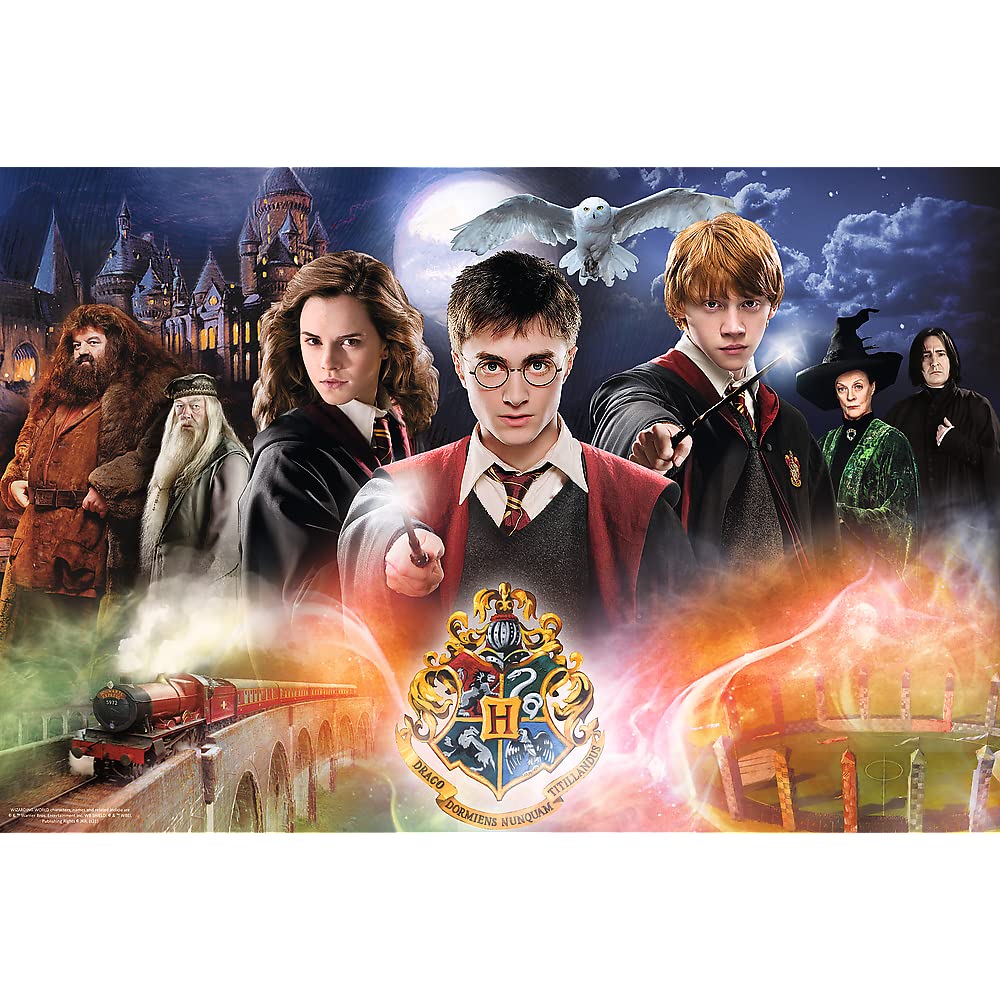 Trefl-300 Elementi, Bambini da 8 Anni Puzzle, Colore, Misterioso Harry Potter, der geheimnisvolle, 23001